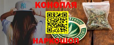 шишки Владимир