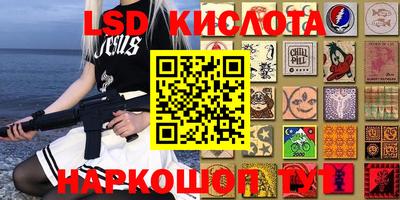 шишки Владимир