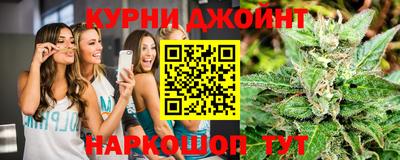 шишки Владимир
