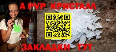 шишки Владимир