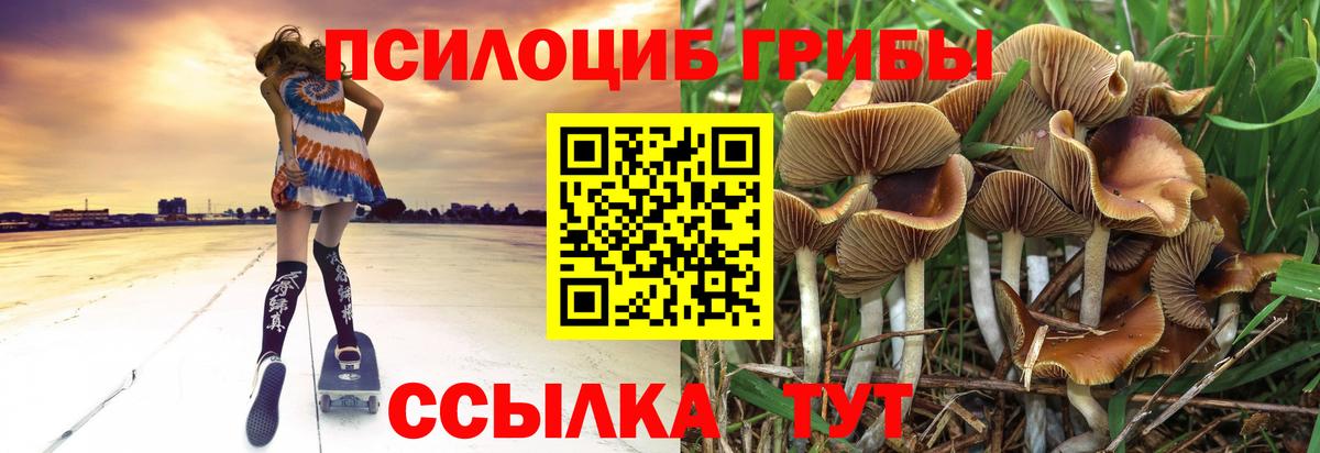 Галлюциногенные грибы Psilocybine cubensis  Вход с VPN  Алексеевка 