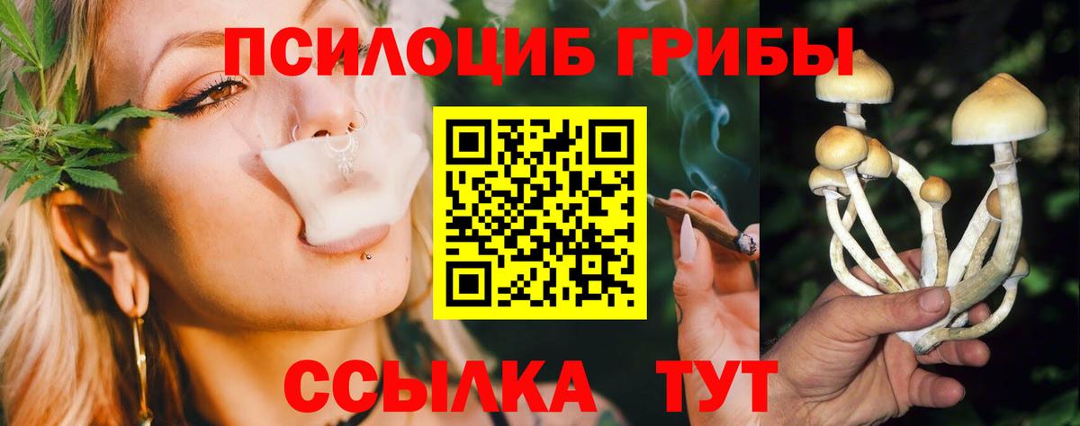 Псилоцибиновые грибы MAGIC MUSHROOMS Алексеевка